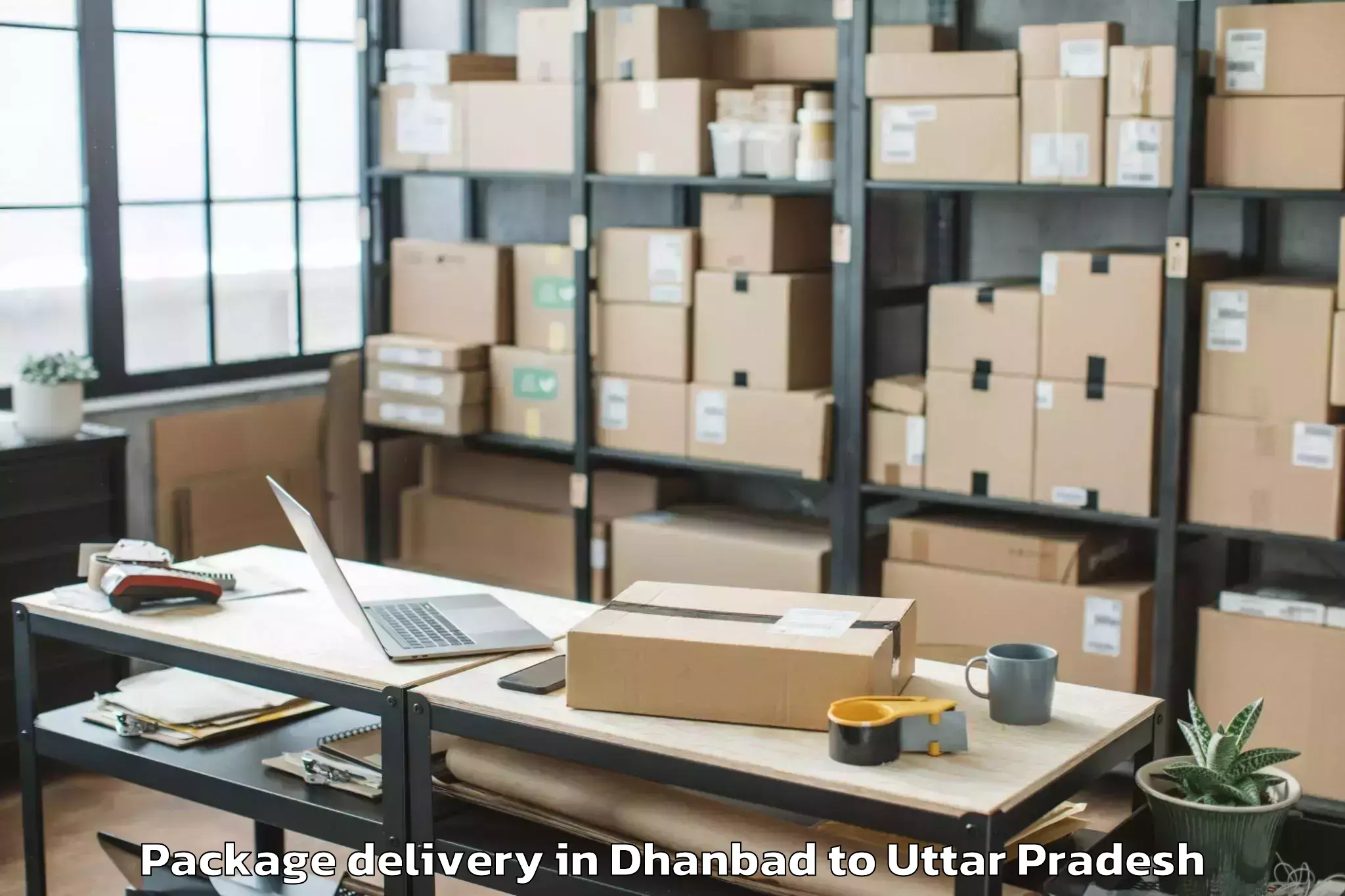 Dhanbad to Gopamau Package Delivery Booking